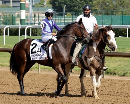 Manuka Honey in the post parade before her victory in the Pocahontas Stakes at Churchill Downs