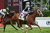 Glycogen wins the 2026 P. G. Johnson Stakes at Saratoga Race Course