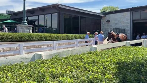 Day 1 Recap of Keeneland September Yearling Sale