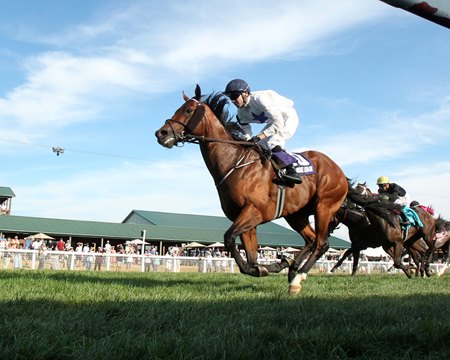 Take Charge Star wins the Franklin-Simpson Stakes at Kentucky Downs