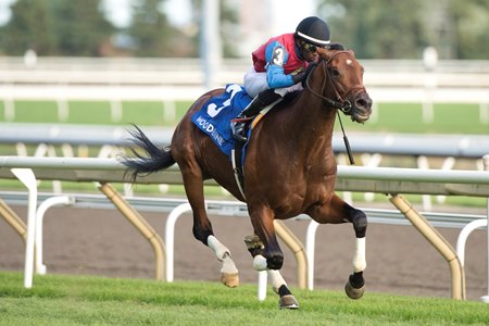 Fire and Wine wins the Breeders' Stakes at Woodbine
