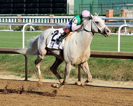 Dragoon Guard wins the Lukas Classic Stakes at Churchill Downs