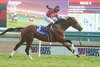 Jockey Jalon Samuel guides Fire and Wine to victory in the $400,000 Breeders's Stakes, the final leg of the Canadian Triple Crown, for owner Paul Ryder and trainer Zeljko Krcmar. Woodbine/ Michael Burns Photo