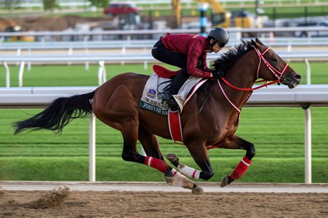 Forever Young to Headline Jockey Club Gold Cup at Reopened Belmont Park