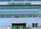 Horse walking into the paddock. 
Breeders’ Cup veterinary guide images and scenes at Belmont Park in Elmont, New York., on Sept. 17, 2026. 