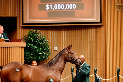 Norevale Farm Sells First Million-Dollar Yearling