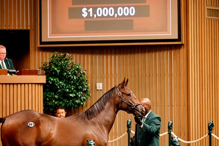 The Life Is Good colt, consigned as Hip 941, in the ring at the Keeneland September Sale