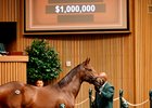 Hip 941, 2026 Keeneland September Sale