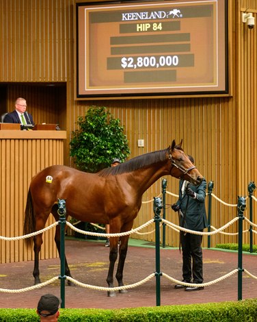 Gun Runner Strikes Again at Keeneland With $2.8M Colt