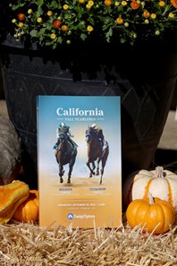Preparing for the Fasig-Tipton California Fall Yearlings Sale, Pomona, California 9.28.2026.