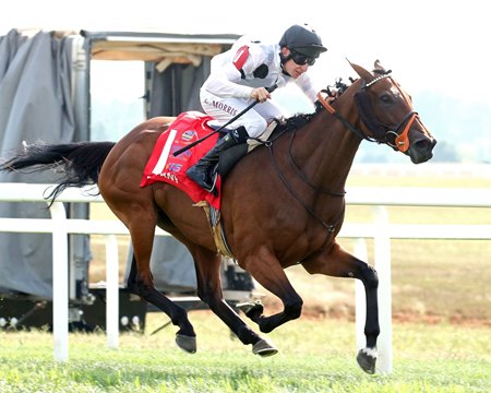 Tiffany wins the Kentucky Turf Cup Invitational Stakes at Kentucky Downs