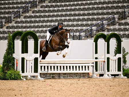 Go Code (aka Gogo) and Bella Canzano win the 2026 TAKE2 Hunter Final