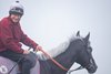 Tyrrhenian Sea (John Lowe) walk down Warren Hill on a foggy morning in Newmarket 6.9.23 Pic: Edward Whitaker