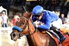 Somerset West wins the 2026 Ainsworth Music City Stakes at Kentucky Downs