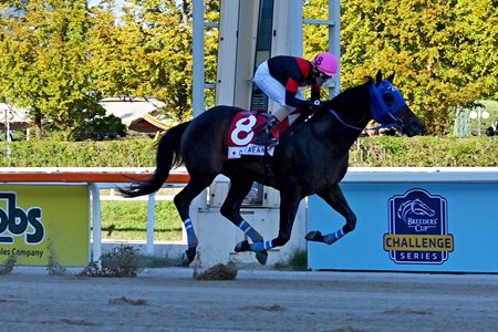 Diktaean wins the 2026 Korea Cup at Seoul Racecourse
