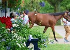 Scenics, 2026 Keeneland September Sale