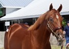 Hip 770 at Fedamore Farm consignment, 2026 Keeneland September Sale