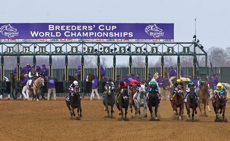 Goodnight Olive with Irad Ortiz wins the Filly and Mare Sprint (G1) at Keeneland in Lexington, KY on November 5, 2022.