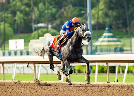 Forged Steel wins the Goodwood Stakes to stay unbeaten at Santa Anita Park