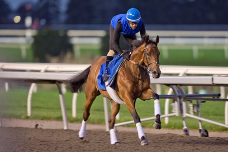 Arabian Crown trains for the Canadian International Stakes at Woodbine