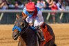 Salahudin (Uncle Mo) and Jose Ortiz win the 2026 Iroquois S. (Gr.III) at Churchill Downs to earn Road to the Kentucky Derby points.