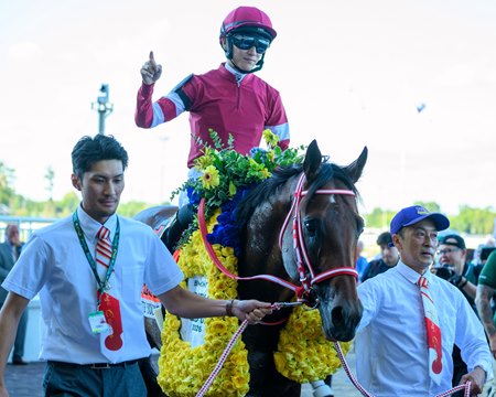 Forever Young enters the Belmont Park winner's circle after the Jockey Club Gold Cup