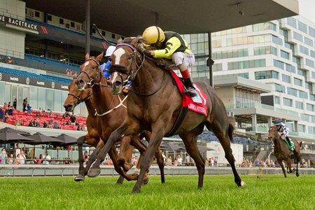 Gimme a Nother (inside) prevails in the E. P. Taylor Stakes at Woodbine