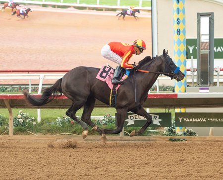 Imperial Honor rolls on debut at Del Mar