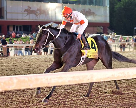 Rileytole wins the Remington Park Oaks at Remington Park