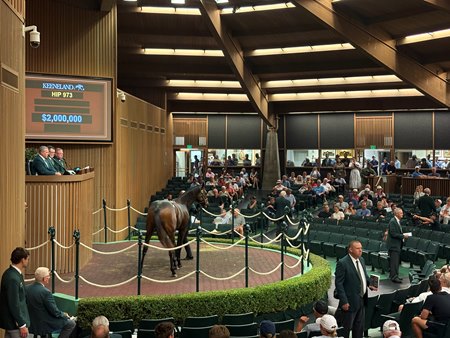 Hip 973 commands a $2 million bid at the Keeneland September Yearling Sale

Hi-ResFree for Use