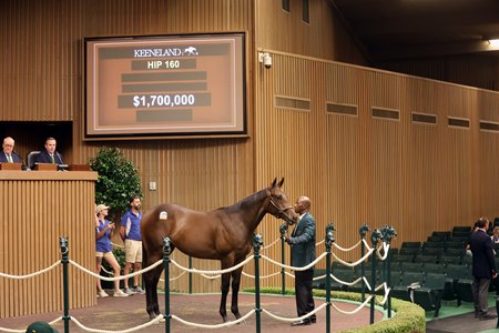 Hip 160, a colt by Flightline, was one of 18 yearlings to sell for $1 million or more during Day 1 of the Kentucky September Sale