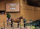 Hip 160, 2026 Keeneland September Sale