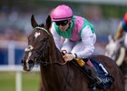 Blue Bolt and Colin Keane takes the Gr.1 Matron Stakes. 
Irish Champions Festival day 1.
Leopardstown.
Photo: Patrick McCann/Racing Post
12.09.2026.


