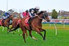 Birdman wins the 2026 Underwood Stakes at Caulfield Racecourse
ridden by Ben Melham and trained by Chris Waller