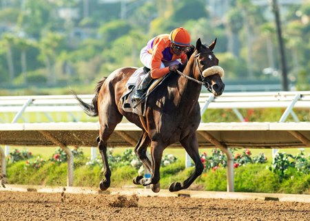 Spendthrift Farm's Magnificat