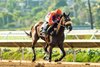 Spendthrift Farm's Magnificat and jockey Joel Rosario win the $100,000 Tranquility Lake Stakes, Saturday, September 5, 2026 at Del Mar Thoroughbred Club, Del Mar CA.
© BENOIT PHOTO