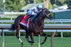 Jockey Manny Franco sits atop The Good Life on the way to the win the 122nd running of The Spendthrift Farm Hopeful GI  at the Saratoga Race Course Sunday Sept. 6, 2026 in Saratoga Springs, N.Y. 