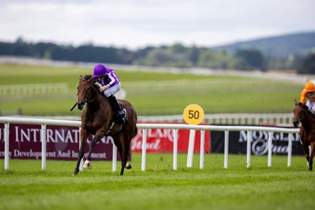 Sun Goddess romps in the Moyglare Stud Stakes at the Curragh