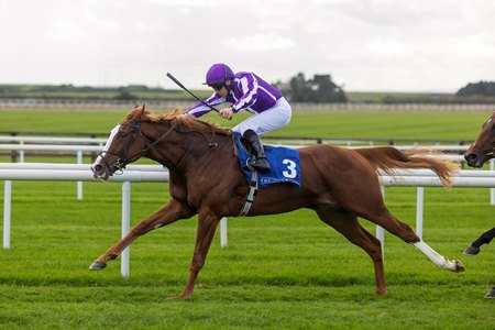 Noble Exhibit wins the Beresford Stakes at the Curragh