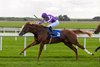 Noble Exhibit and Wayne Lordan winning the Beresford Stakes Gr.2.
The Curragh.
Photo: Patrick McCann/Racing Post
26.09.2026.

