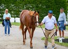 Souper Grand, hip 41, colt by Justify out of Souper Sensational at Warrendales Sales, agent for Live Oak Stud
Scenes at the Keeneland September sale near Lexington, Ky., on Sept. 12, 2026. 