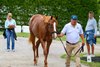 Souper Grand, hip 41, colt by Justify out of Souper Sensational at Warrendales Sales, agent for Live Oak Stud
Scenes at the Keeneland September sale near Lexington, Ky., on Sept. 12, 2026. 