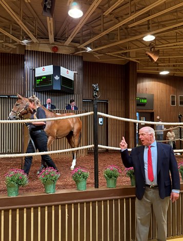Canadian Yearling Sale Delivers Powerful Results