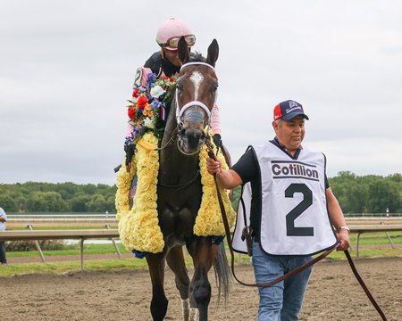 Bodacious Bay after winning the Cotillion Stakes at Parx Racing