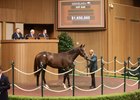 Hip 646, 2026 Keeneland September Sale