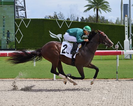 Reza scores on debut at Gulfstream Park