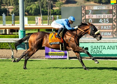 Atitlan registers a clear victory in the John Henry Turf Championship Stakes at Santa Anita Park