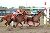 The Puma with Javier Castellano riding won the $1,000,000 Grade I Pennsylvania Derby  at Parx Racing in Bensalem, PA on Saturday September 19, 2026.  Photo by Bill Denver/EQUI-PHOTO.