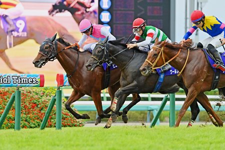Puro Magic (inside) wins the Sprinters Stakes at Nakayama Racecourse