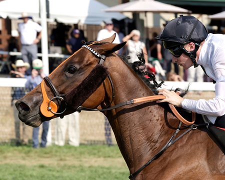 Tiffany wins the Kentucky Turf Cup Invitational Stakes at Kentucky Downs